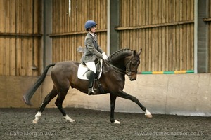 Isis Dressage Crown Farm Show 29th April 2012